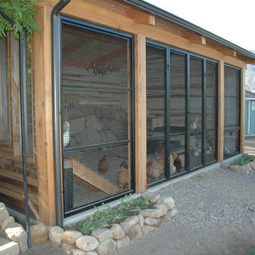 Chicken coop