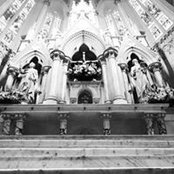 Catherine Downing's photo