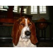 Steven Saied's photo