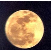 Jo Gahm's photo