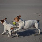 Warren Ebersohn's photo
