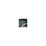arabella_dowds billede