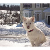 Loretta Gallup's photo