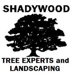 Shadywood Tree Experts Inc