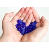 Hilary Cavotta's photo