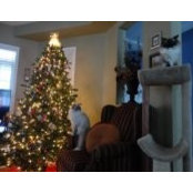 Lori MacDonald's photo