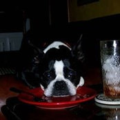 Becky Magee's photo