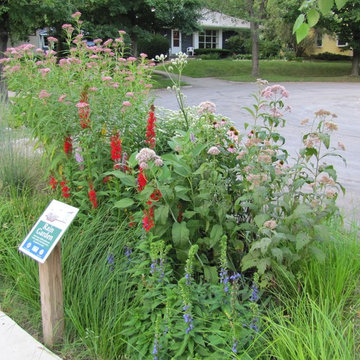 Compilation of Rain Garden Projects