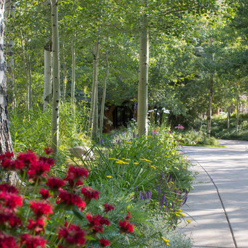 Castle Creek Retreat