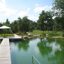 Pool/Teich