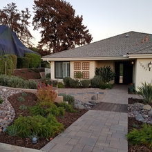 FRONT GARDENS
