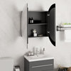 vidaXL Cabinet Bathroom Vanity Mirror Cabinet with Round Mirror and LED Gray
