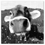 DDCG - Cow Close-Up Wall Art, 24"x24", Canvas - The Cow Close-Up Canvas Wall Art, 24x24 from our  Animals Collection shows a black and white print of a close-up of a cow. This canvas helps you add some animal art to your living room. Before this canvas ships, it undergoes a rigorous quality assurance check to ensure it meets our high standards. The result is a beautiful piece of artwork worthy of showcasing in your home.