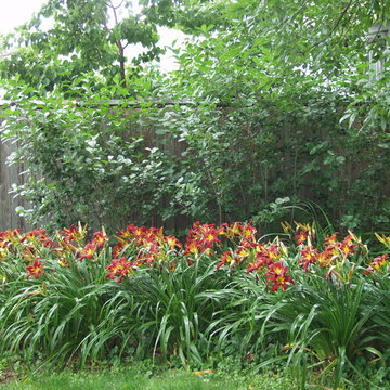 Seha patio