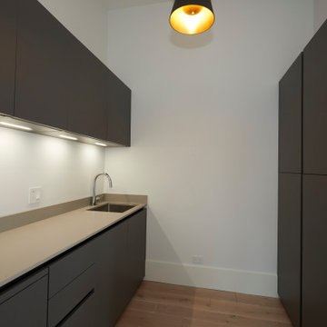 Minimalist Utility Room with Custom Matte Cabinetry
