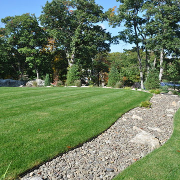 Dry Stream Beds