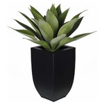 House of Silk Flowers, Inc. - Artificial Tabletop Agave in Black Zinc Vase - You will never have to worry about caring for your succulents again. This arrangement contains an artificial tabletop agave "potted" in a matte black zinc pot (10 3/4" tall x 6 1/2" x 6 1/2"). The overall dimensions are measured tip to tip, bottom of planter to tallest tip: 19" tall x 15" diameter. All measurements are approximate and will be determined by your final shaping of the item upon unpacking it. No arranging is necessary, only minor shaping, with the way in which we pack and ship our products. This is only intended for indoor use.