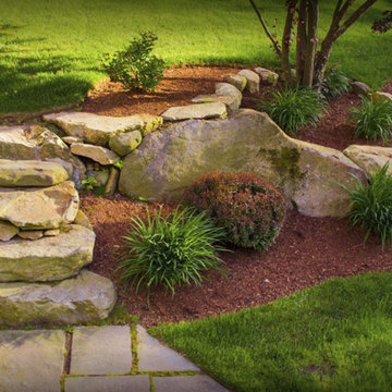 Our Work