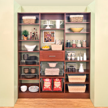 Total Organizing Solutions - pantry - reach in