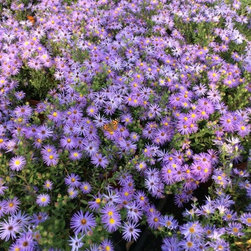 Inventory Samples - Gardening And Lawn Care