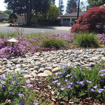 DESIGN TO COMPLIMENT MAPLE TREES