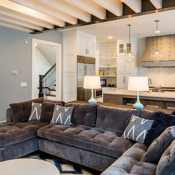Rustic Modern Custom Home- Naperville, IL