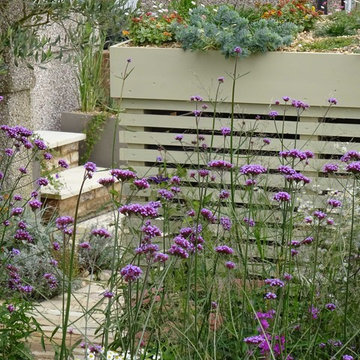 Wildlife Friendly Front Garden