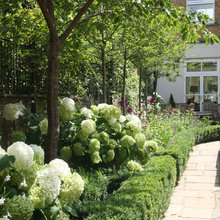 Robin Hood Lane Garden