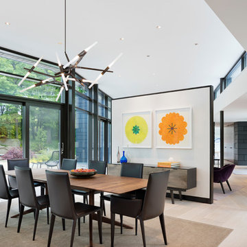 LEED-Certified Greenwich Modern