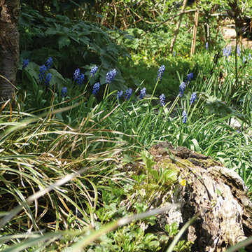Kleiner verwunschener Garten