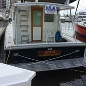 Barbara Lyle's photo