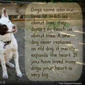 Liz Kirkpatrick's photo