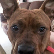Bradley Dunning's photo