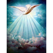 Renee McCarty-Boyd's photo