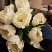 Kathleen Davi's photo