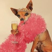 Clare Thompson's photo
