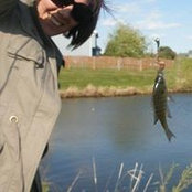 Jo Herons foto