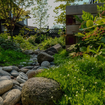 Pollinator Haven