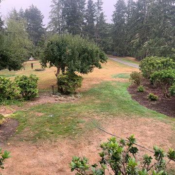 Budget Saving Cottage Garden - before