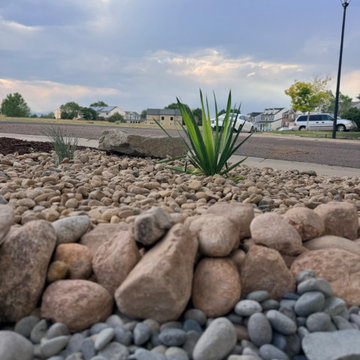 Xeriscape Transformation - Highlands Ranch, CO