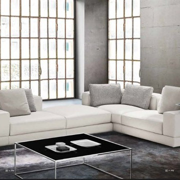 Gurian - Joy Sectional or Sofa