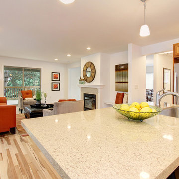 Seattle Spec House