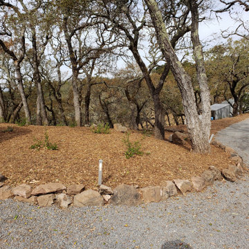 Fire Rebuild with Hamilton Statue and Native Plants