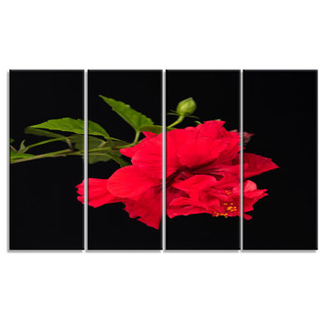 Bright Red Hibiscus on Black, Large Floral Canvas Art Print, 48"x28", 4 Panels