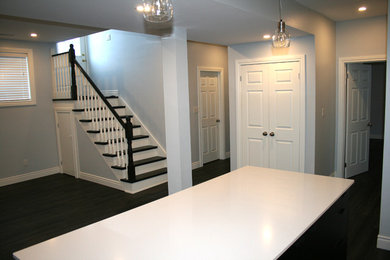 Transitional basement photo in Toronto