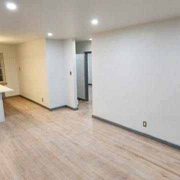 Whole Condo Remodel In Progress