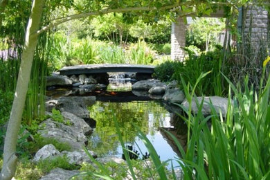 This is an example of a landscaping in Other.