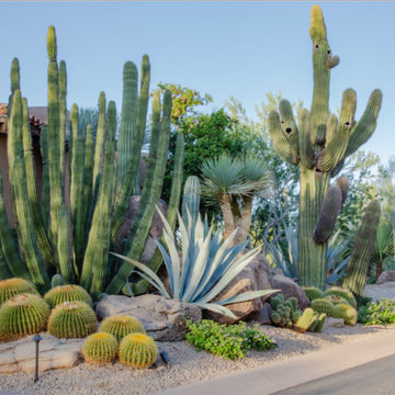 Desert Landscapes