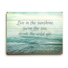 debi_dinatale's Ideas