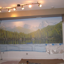 Mural at our cabin, created by Andy of The Mural Works
